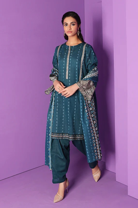 42206148-1-Printed Embroidered 3PC